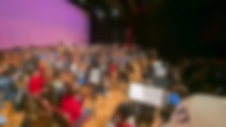 Wide, anonymized Orchestra performance photograph